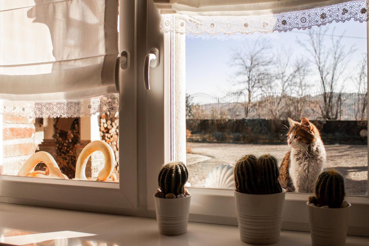 Casa Taro Bed & Breakfast Marsaglia  Екстериор снимка